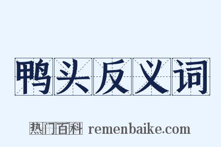 鸭头反义词是什么意思的图片